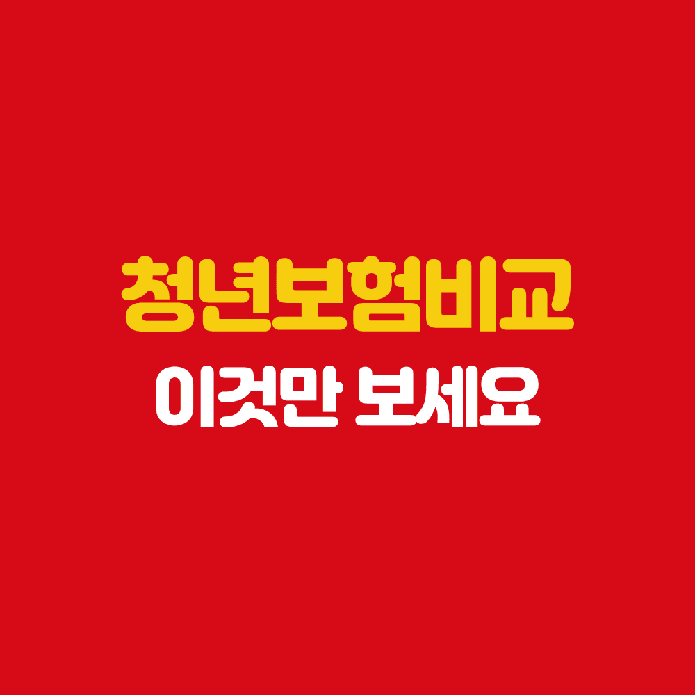 광주 보험설계사 청년보험비교 이것만 보세요